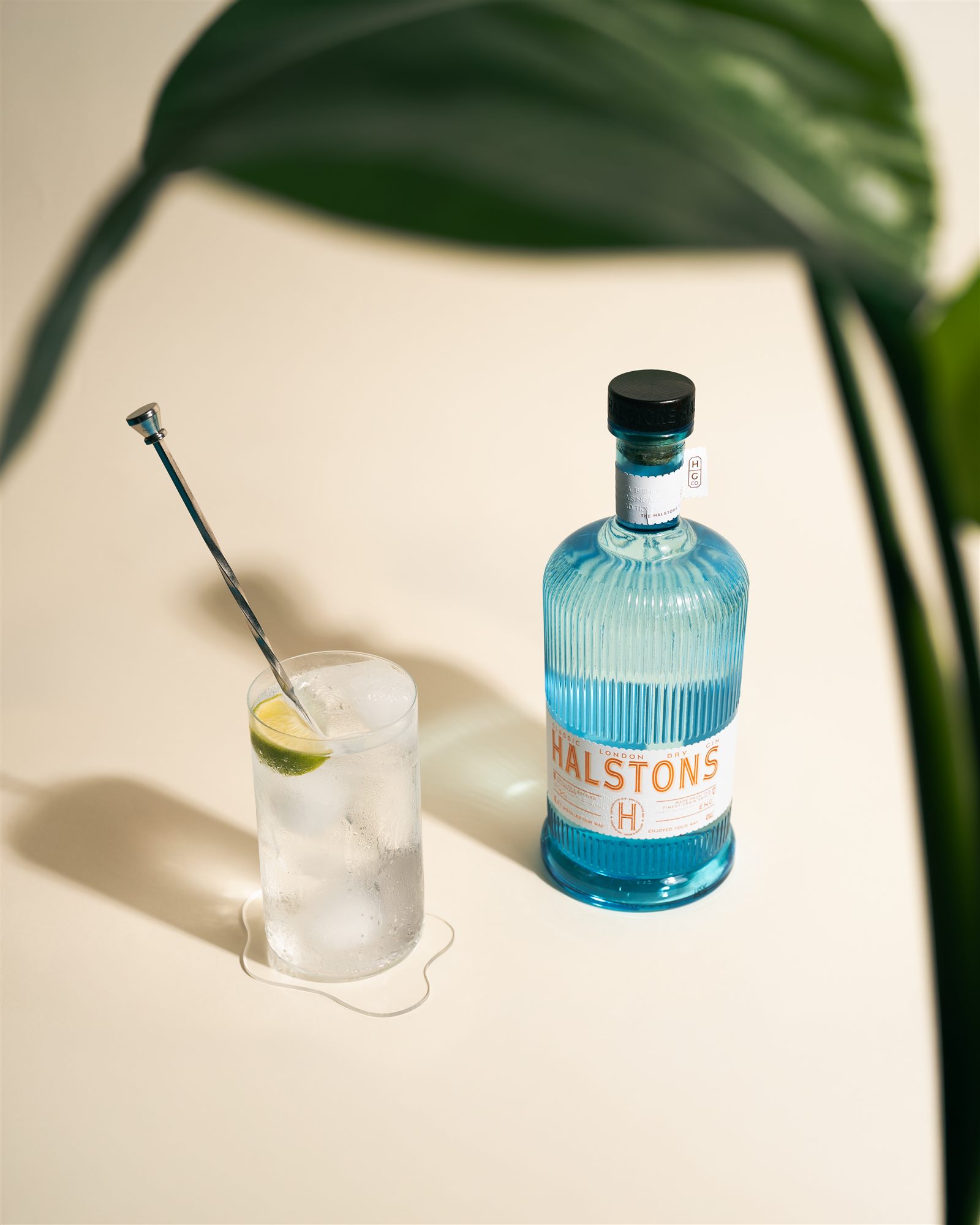 Halstons Gin and Tonic